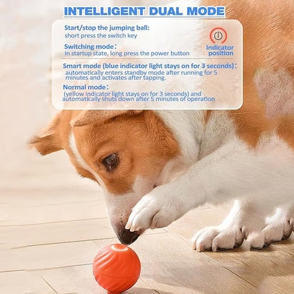 PawRoll™ Smart Interactive Pet Ball