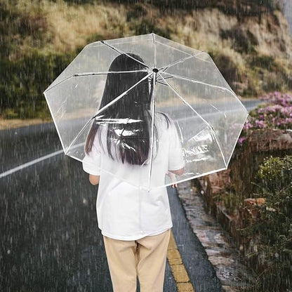 Transparent Automatic Umbrella – Stylish