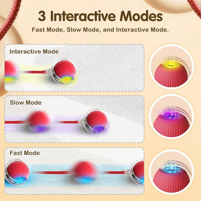 PawRoll™ Smart Interactive Pet Ball