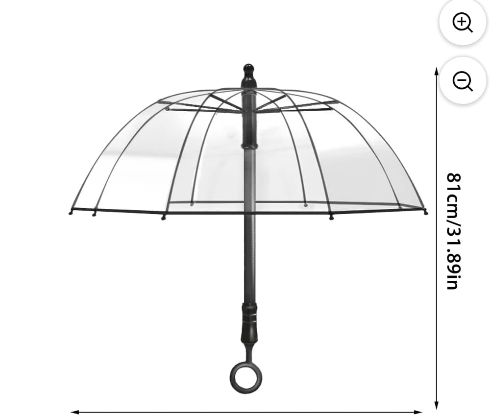 Transparent Automatic Umbrella – Stylish