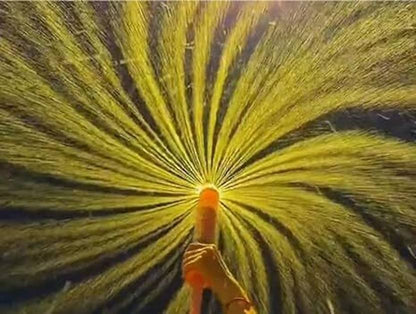 Rain Dance Pichkari – Ultimate Holi Water Blaster! 🎉