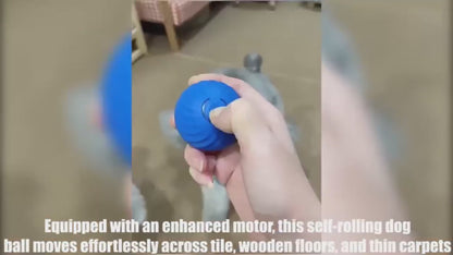 PawRoll™ Smart Interactive Pet Ball